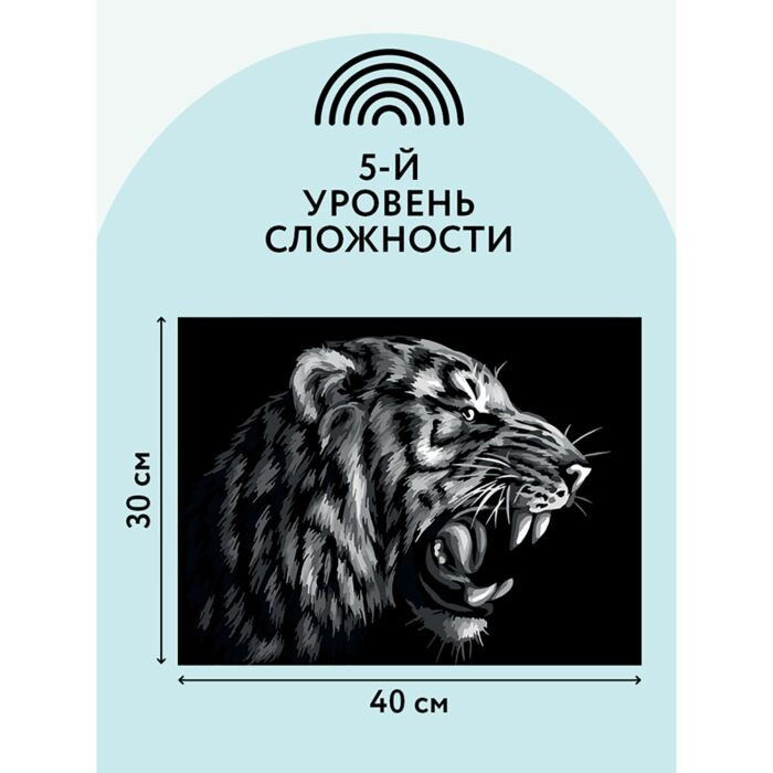 Картина по номерам Три Совы Монохромный тигр 30х40см  купить,NaN