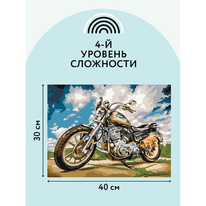 Картина по номерам Три Совы На скорости 30х40см  купить,NaN