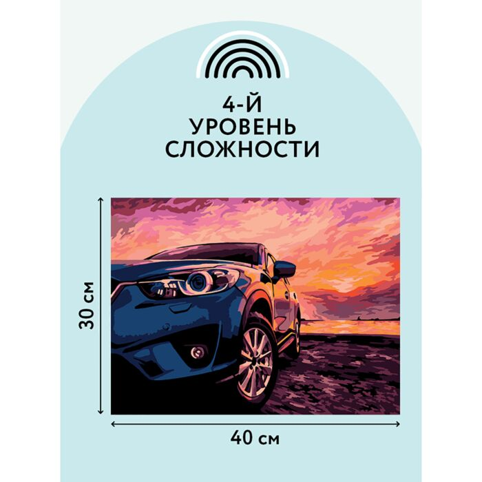 Картина по номерам Три Совы Дрифт на закате 30х40см  купить,NaN