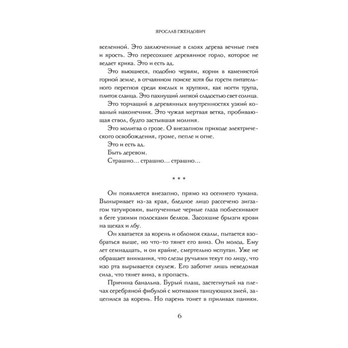 Фантастика и фэнтези Гжендович Я. Владыка ледяного сада В сердце тьмы купить,NaN