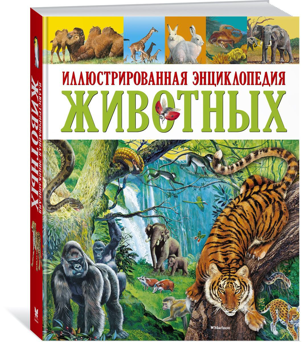 Энциклопедия Клош П., Кьоцци Д., Коппини К. Иллюстрированная энциклопедия животных купить,NaN