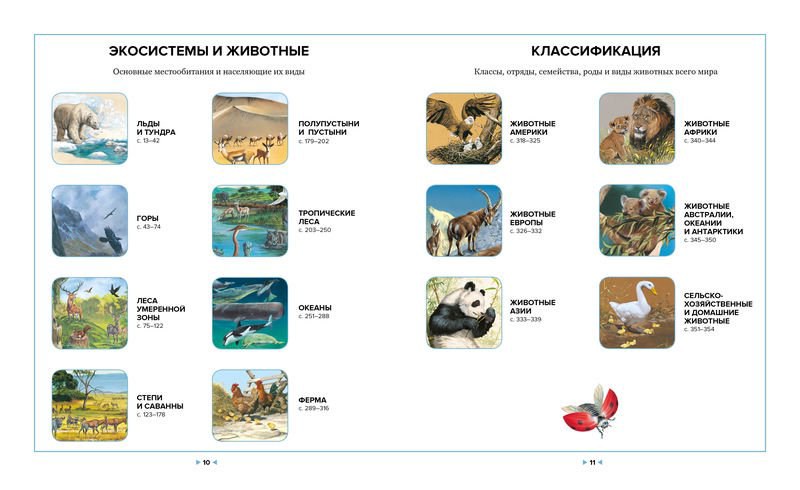 Энциклопедия Клош П., Кьоцци Д., Коппини К. Иллюстрированная энциклопедия животных купить,NaN