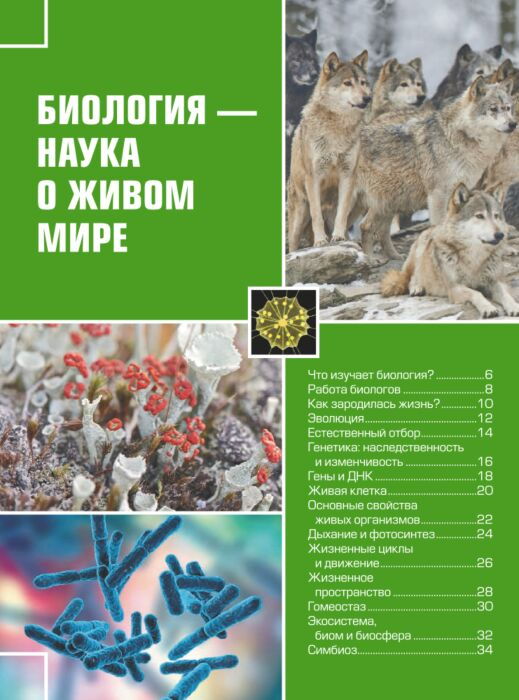 Энциклопедии Гигантская детская 4D энциклопедия купить,NaN