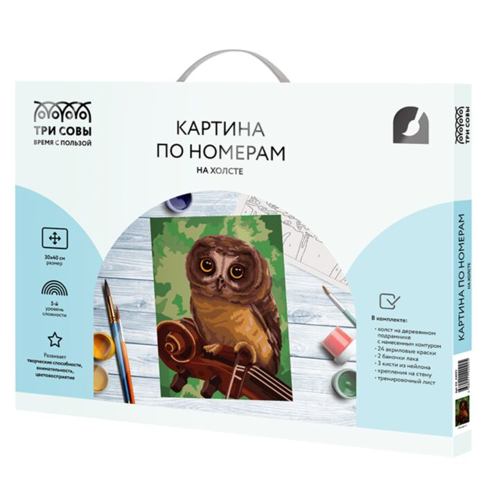 Картина по номерам Три Совы Музыкант 30х40см 24 цвета купить,NaN