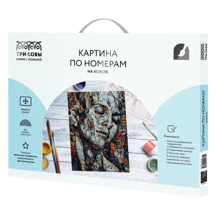 Картина по номерам Три Совы Абстракция 30х40см 24 цвета купить,NaN