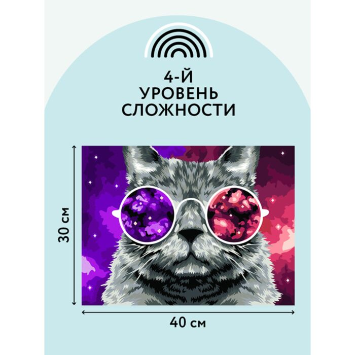 Картина по номерам Три Совы Кошачий космос 30х40см 24 цвета купить,NaN