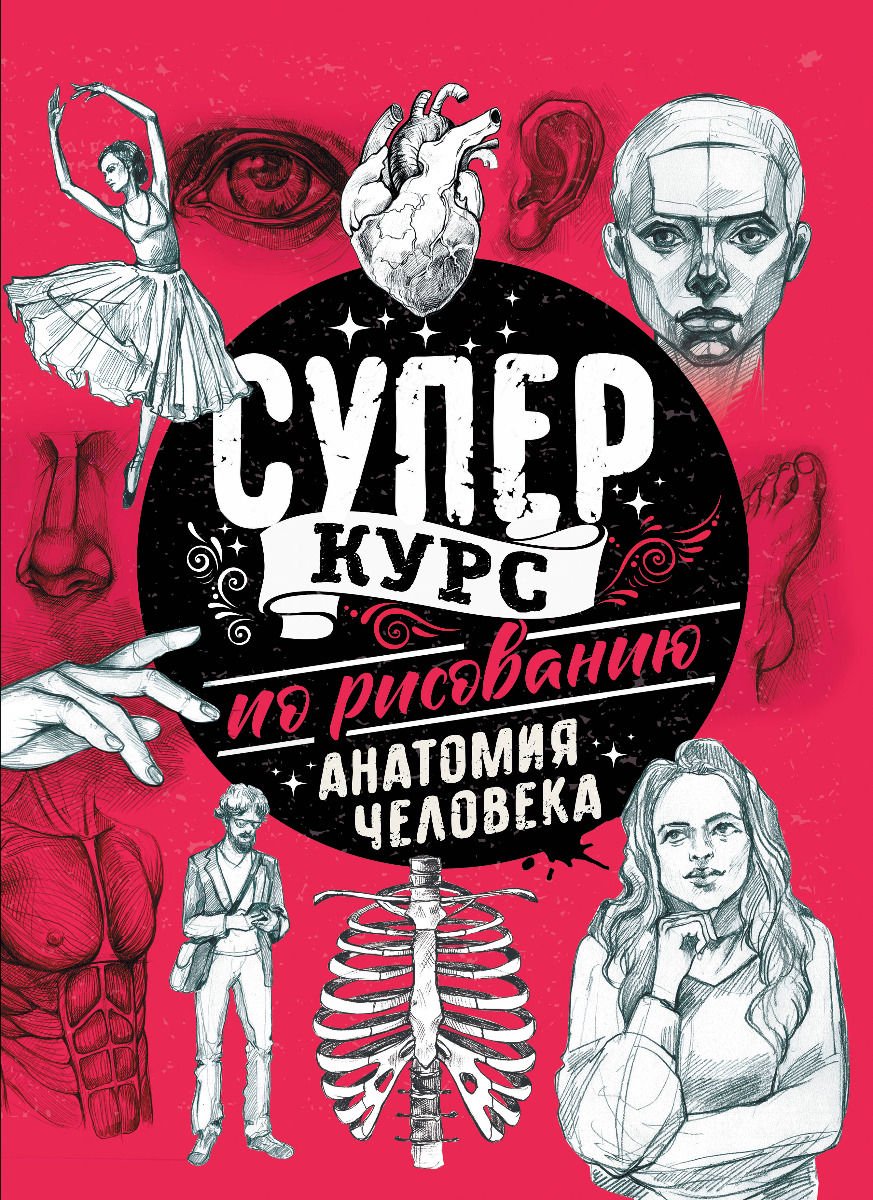 Учебная литература Грей М. Суперкурс по рисованию. Анатомия человека купить,NaN