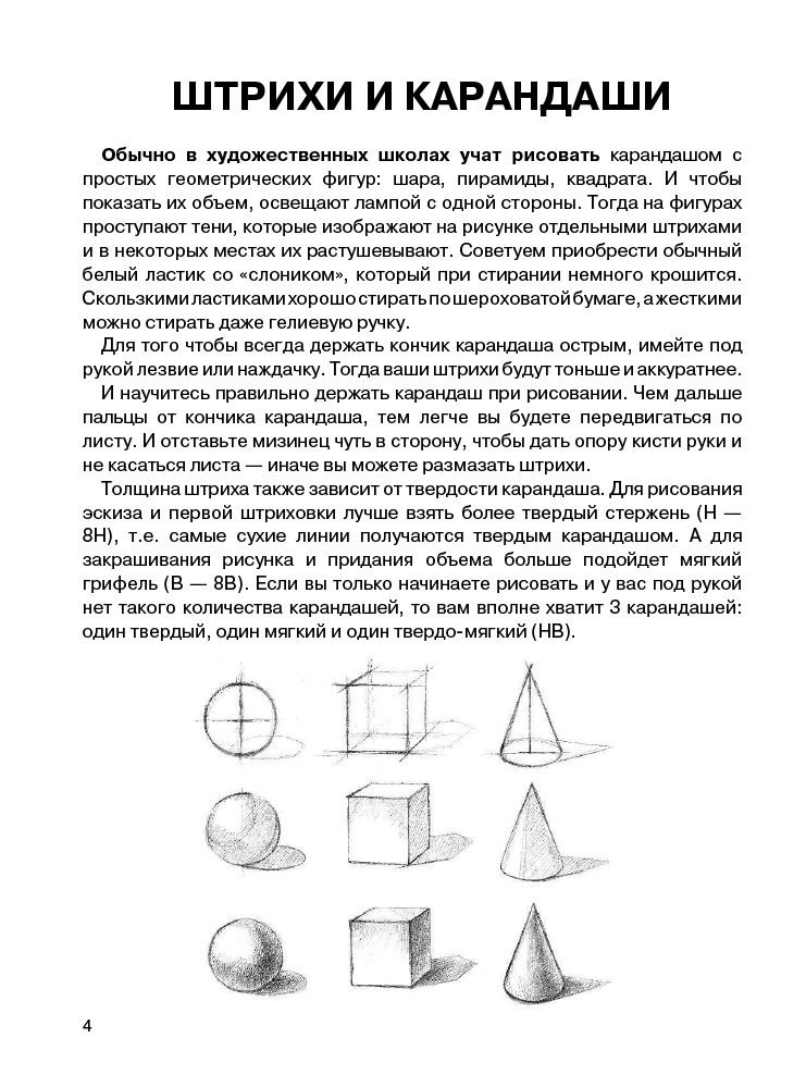 Учебная литература Грей М. Суперкурс по рисованию. Анатомия человека купить,NaN