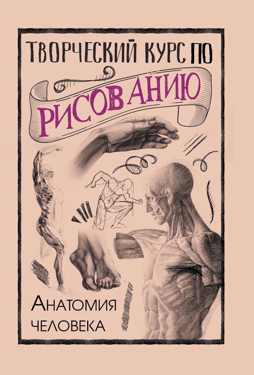 Учебная литература Грей М. Творческий курс по рисованию. Анатомия человека купить,NaN