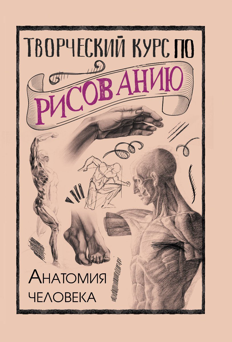 Учебная литература Грей М. Творческий курс по рисованию. Анатомия человека купить,NaN