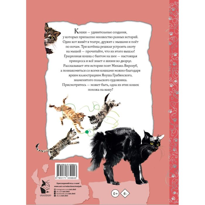 Для дошкольников Грабянский Я. Удивительные кошачьи истории купить,NaN
