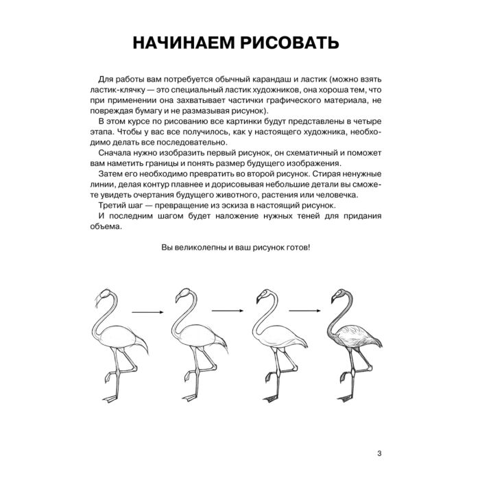 Рисование Грей М. Суперкурс по рисованию Простые зарисовки купить,NaN