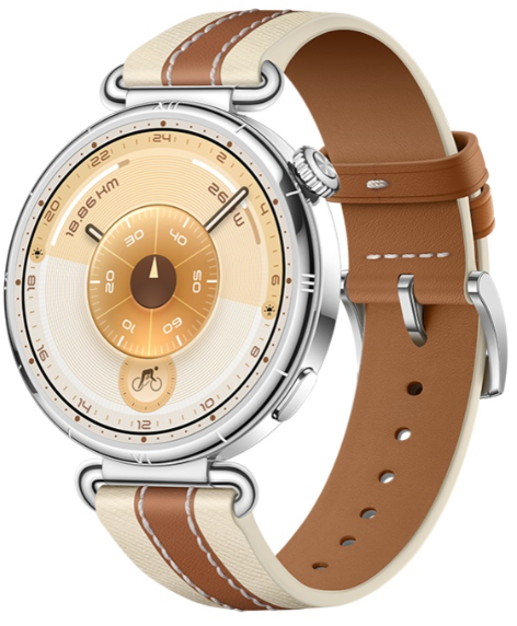 Смарт-часы Huawei Watch GT 6 55020FVX 41mm Brown купить,NaN