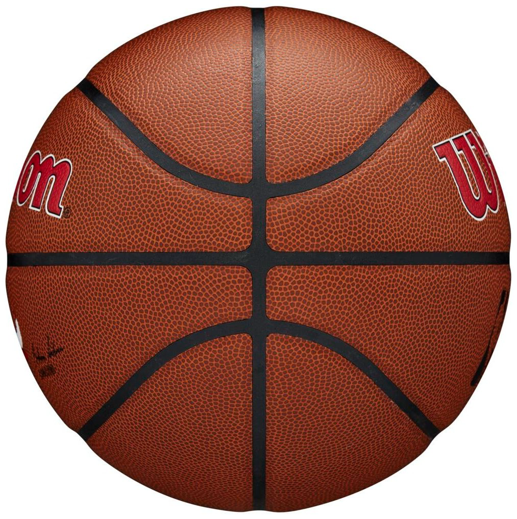 Мяч Wilson NBA Team Alliance Chicago Bulls WZ4029305XB7 для баскетбола размер 7 купить,NaN