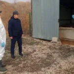 Люди в защите