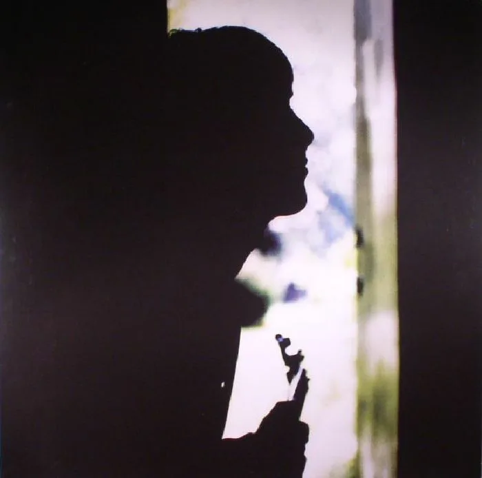 Paul WELLER — Wild Wood (remastered)