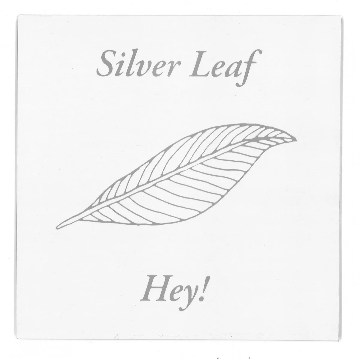 Silver Leaf — Hey!