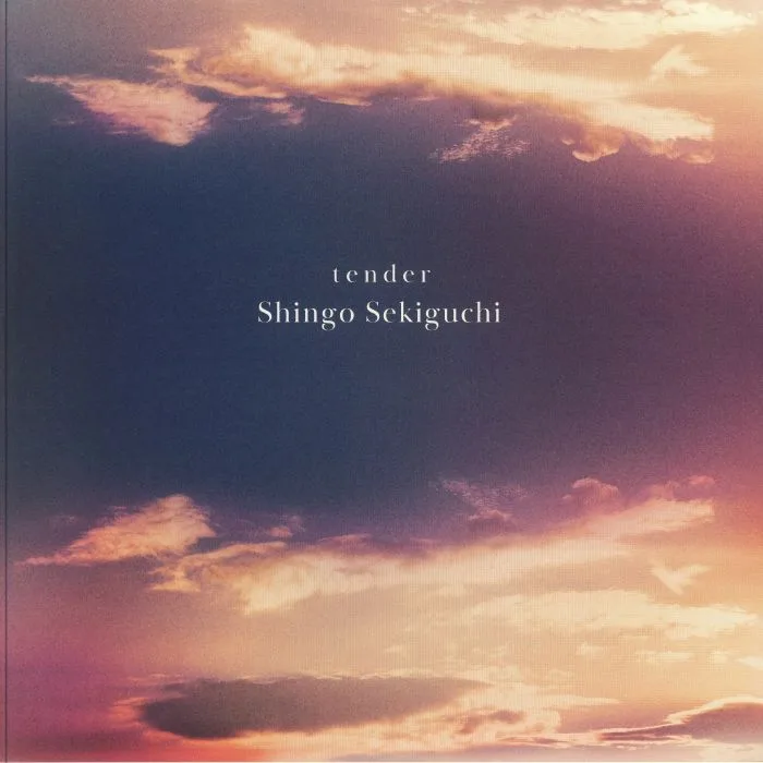 Shingo SEKIGUCHI — Tender
