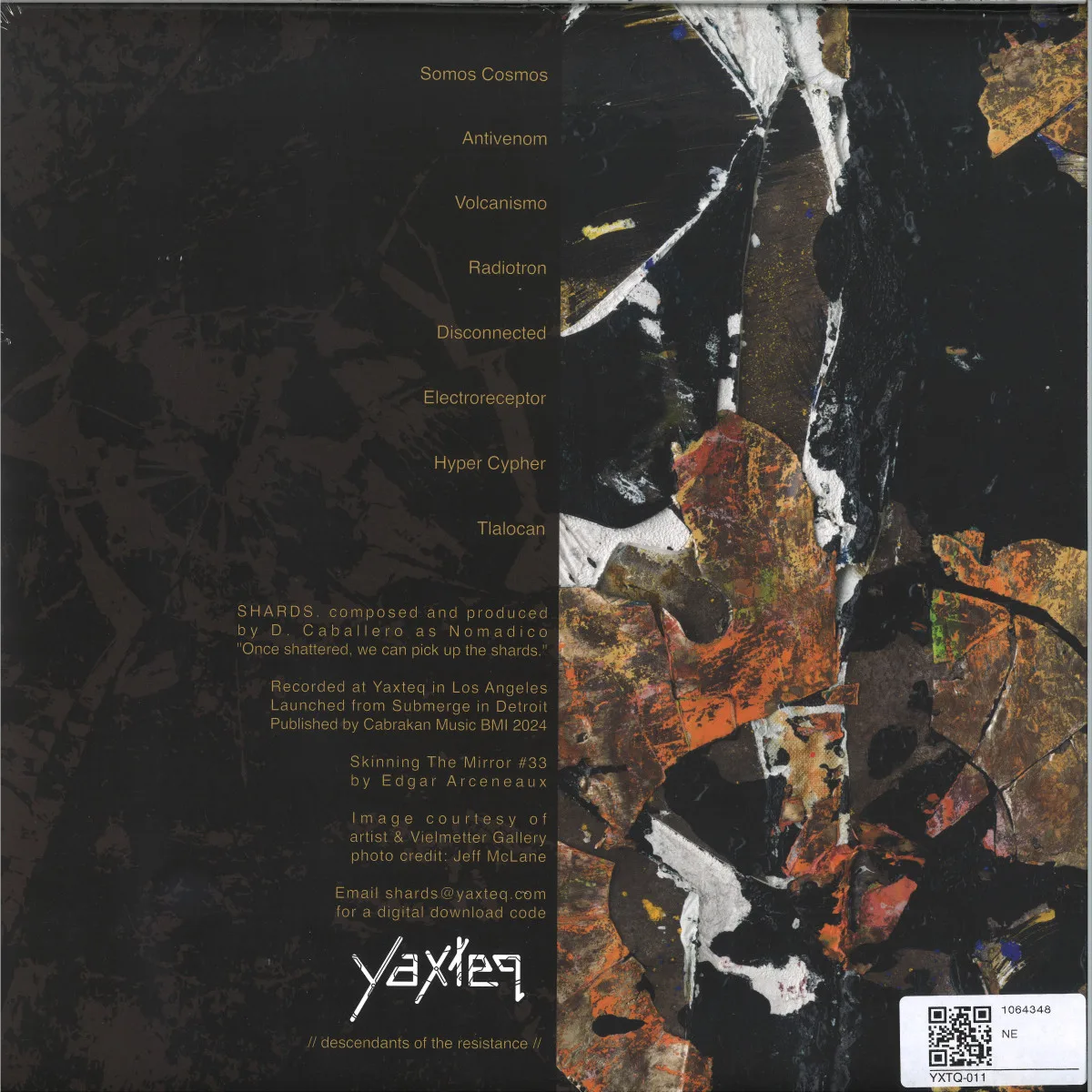 Back cover — Nomadico — Shards LP