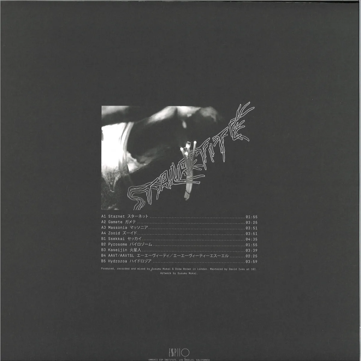 Back cover — Stalactive — s/t