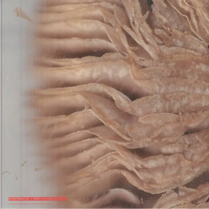 Back cover — SERTI — If U Are Curious