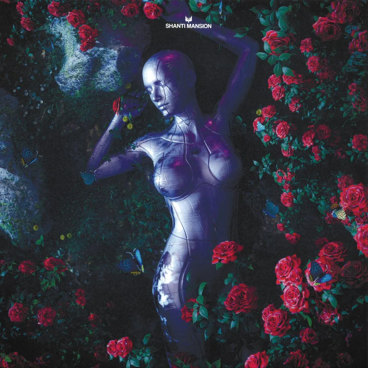 Amonita — Uletai