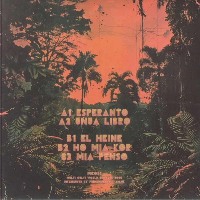 Back cover — AUNTIE FLO — Outernational Dance