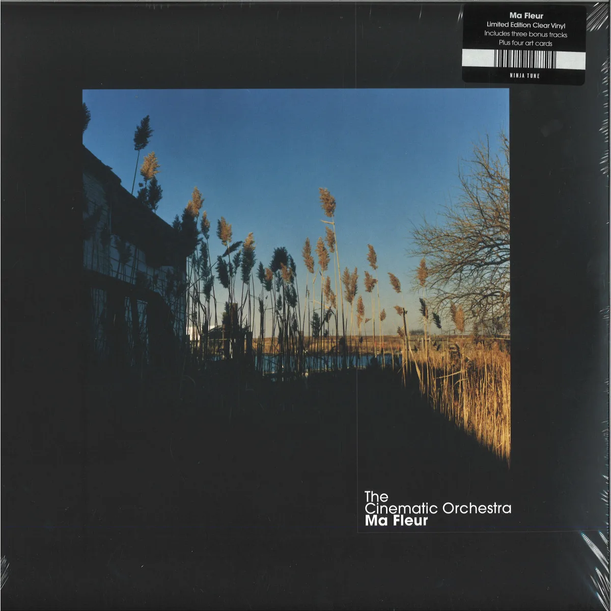 The Cinematic Orchestra — Ma Fleur