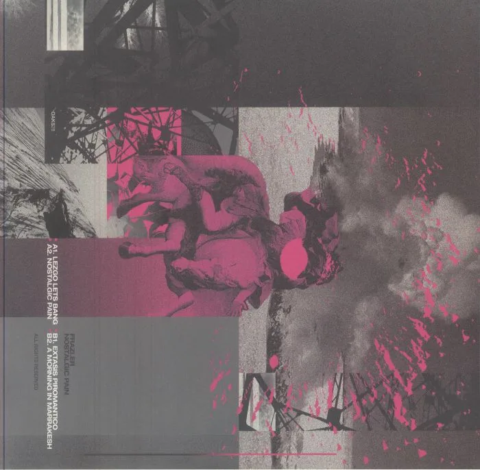 Back cover — FRAZI ER — Nostalgic Pain