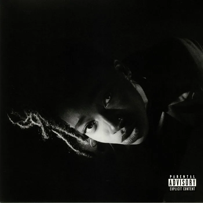 LITTLE SIMZ — Grey Area