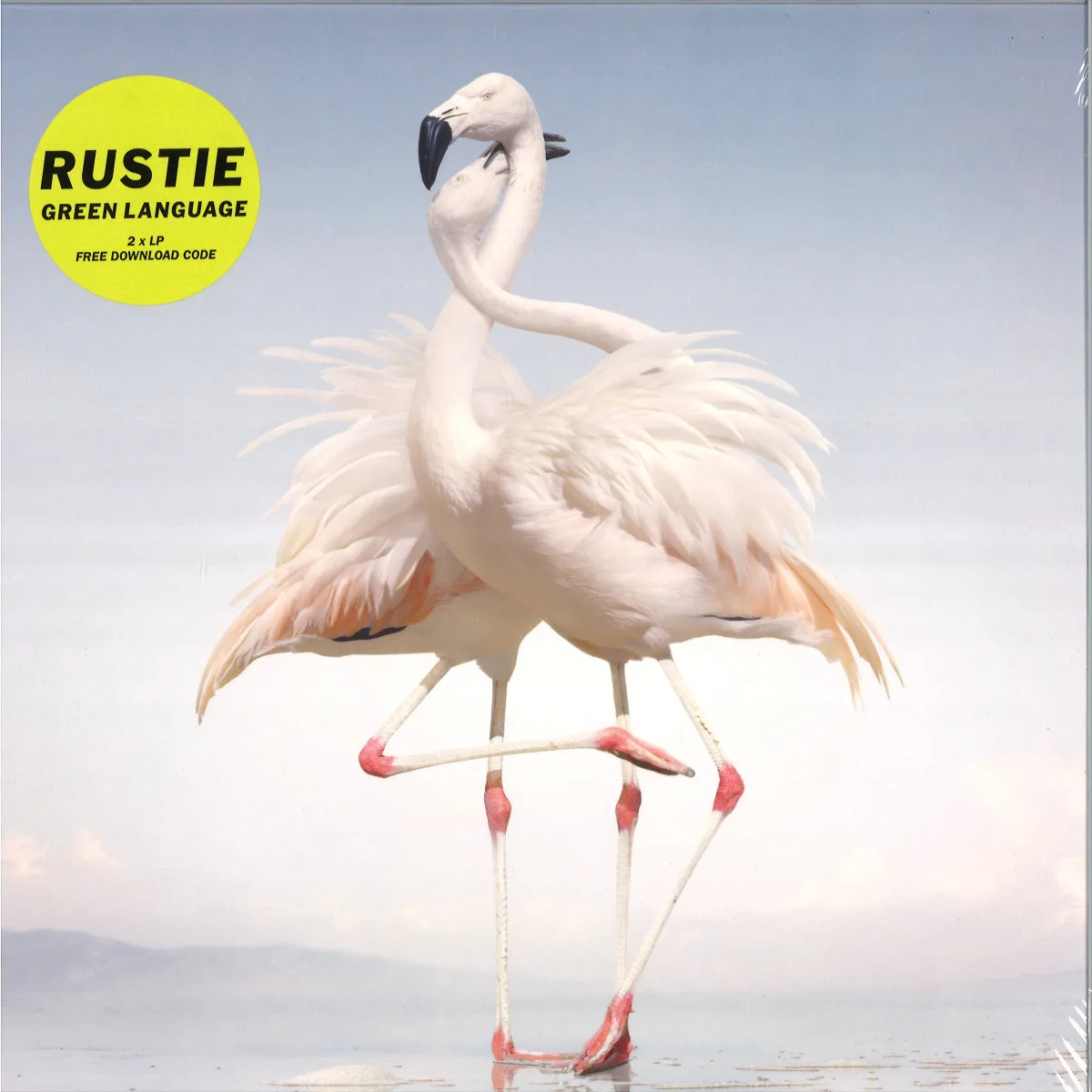 Rustie — Green Language LP (2x12")