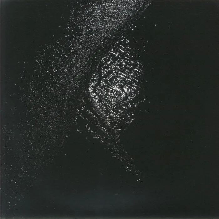 Gigi MASIN — Implodendo In Una Accecante Oscurita: Part 2