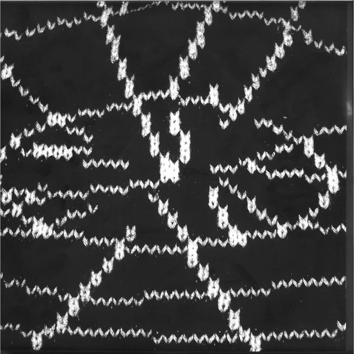 Black Snake Whip — Black Snake Whip
