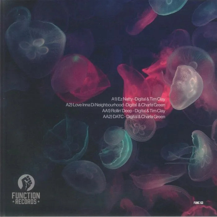 Back cover — DIGITAL / TIM CLAY / CHARLA GREEN — Rollin' Deep