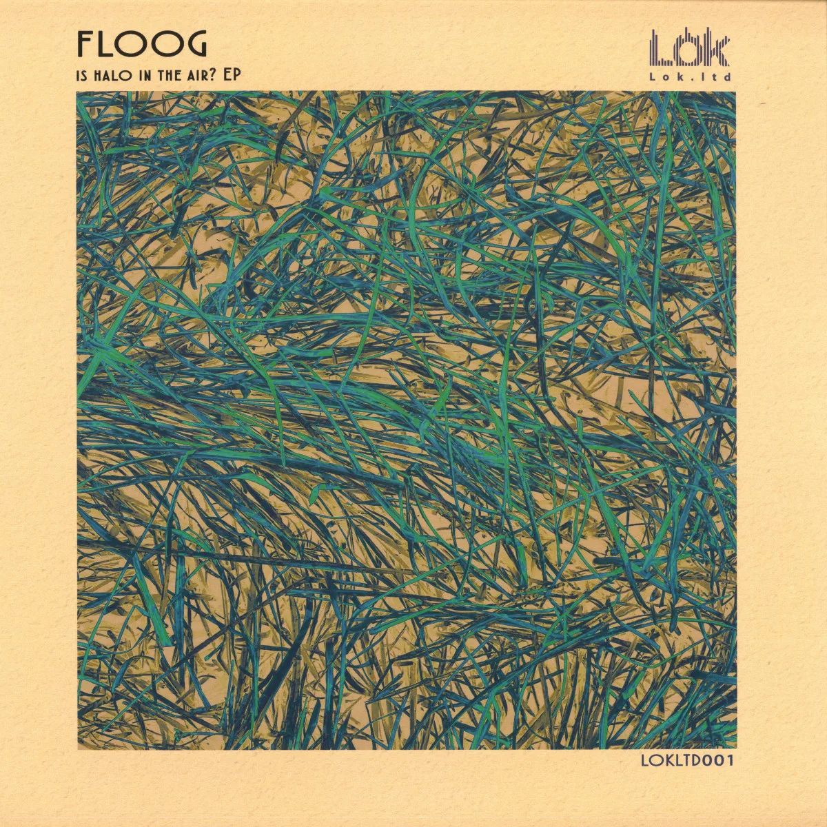 Floog — Is Halo In The Air? EP