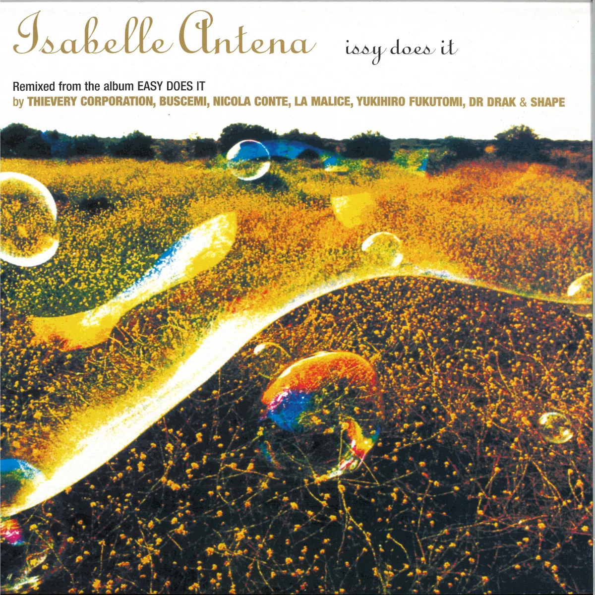 Isabelle Antena — ISSY DOES IT