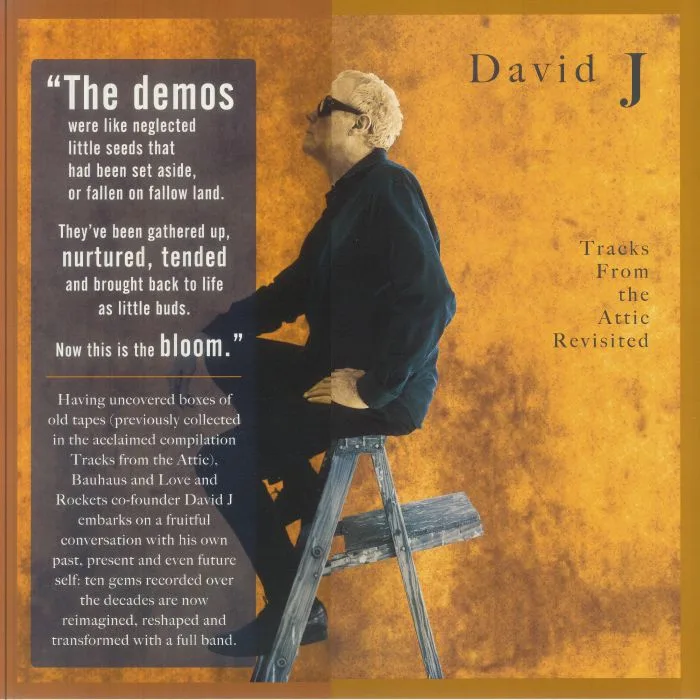 DAVID J — Tracks From The Attic Revisited