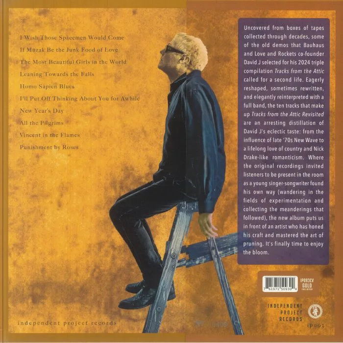 Back cover — DAVID J — Tracks From The Attic Revisited