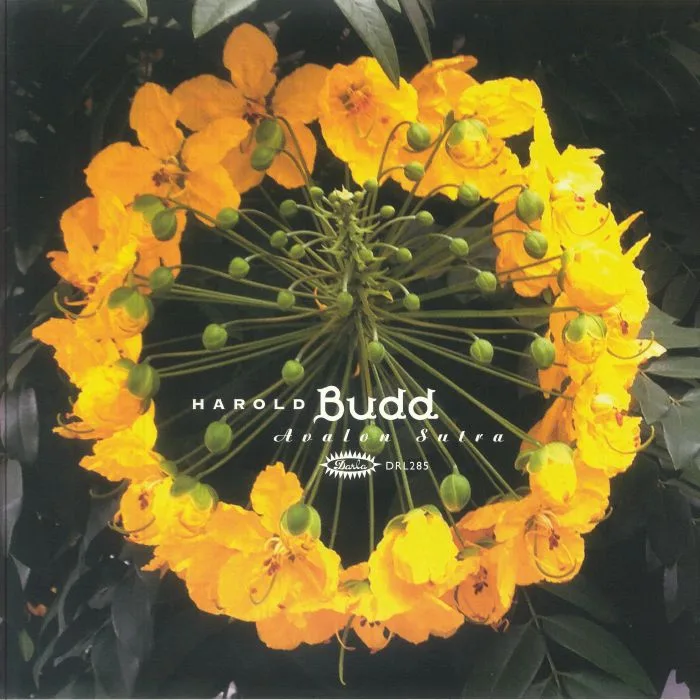 Лицевая сторона обложки — Harold BUDD — Avalon Sutra