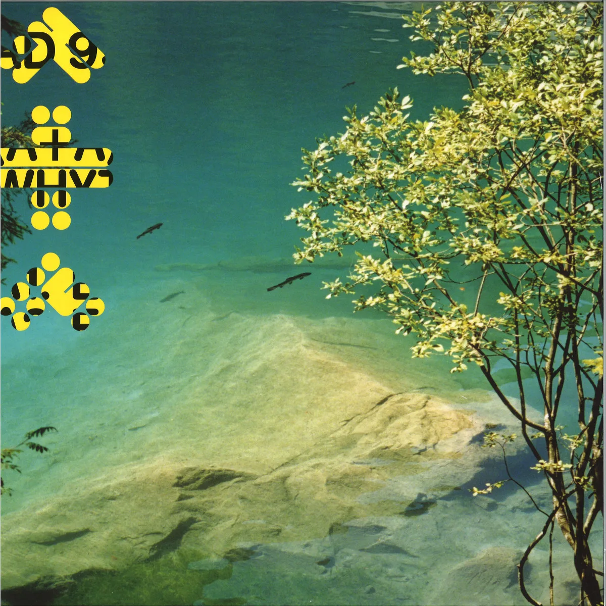 A+A — 060 LP