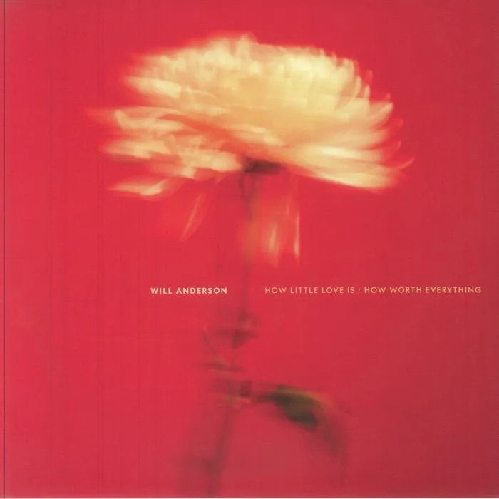 Will ANDERSON — How Little Love Is / How Worth Everything