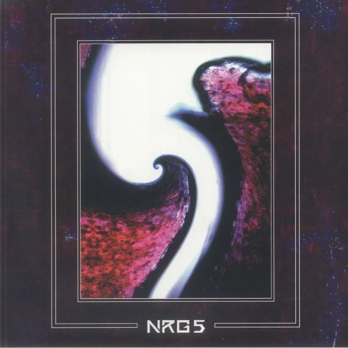 CHIMINYO — NRG 5