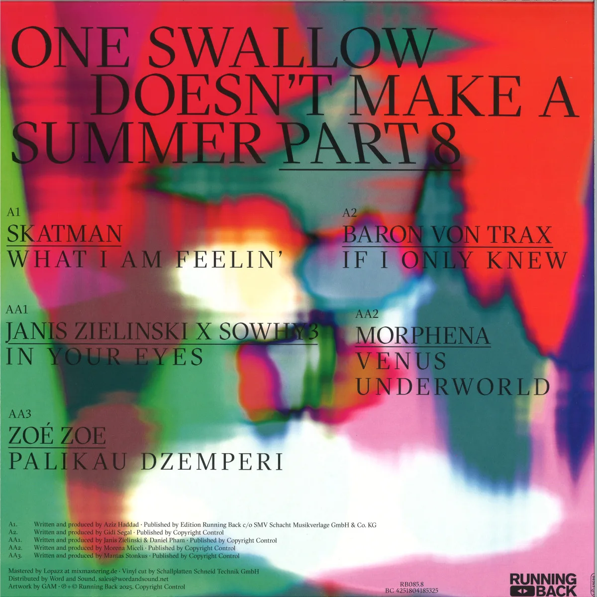 Обратная сторона обложки — Various — One Swallow Doesn’t Make A Summer Part 8