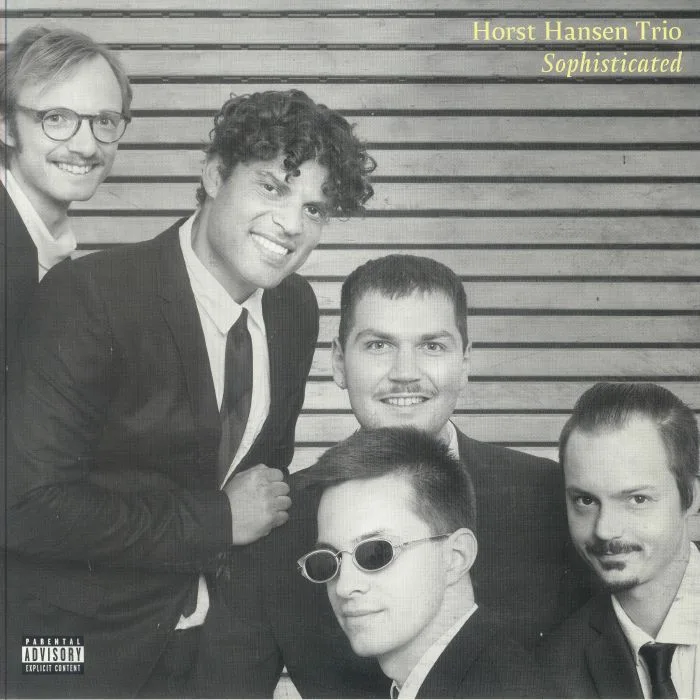 HORST HANSEN TRIO — Sophisticated