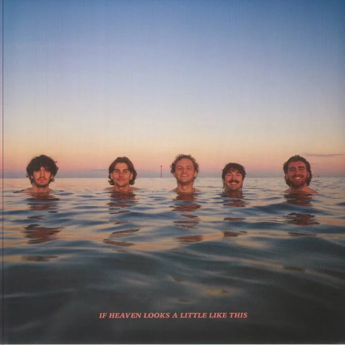 DELIGHTS — If Heaven Looks A Little Like This