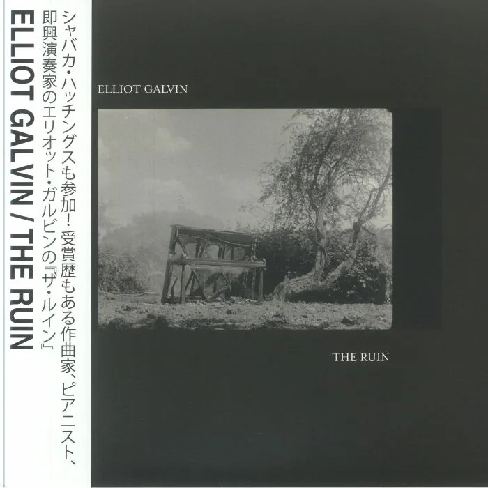Лицевая сторона обложки — Elliot GALVIN — The Ruin