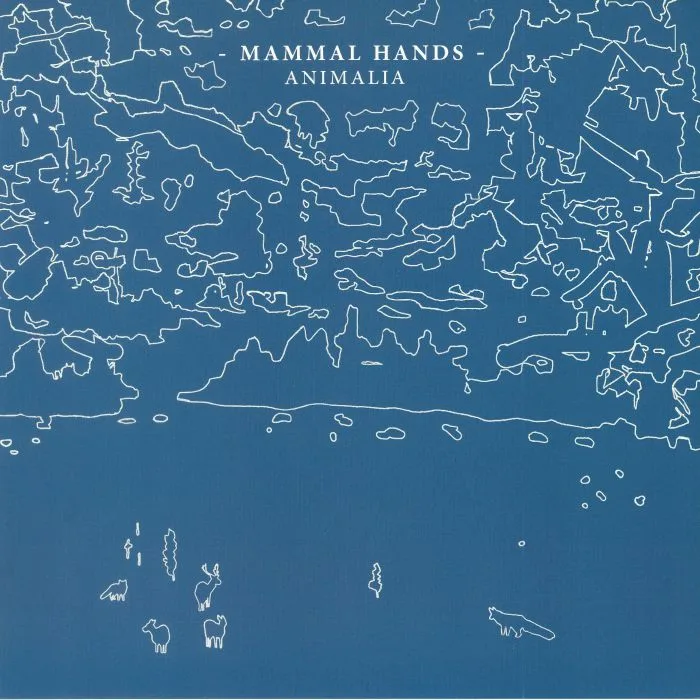 MAMMAL HANDS — Animalia