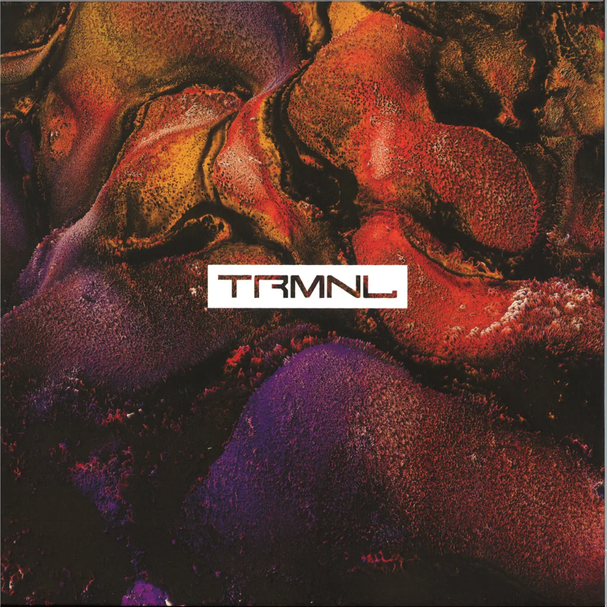 Back cover — Djebali — TRMNL003
