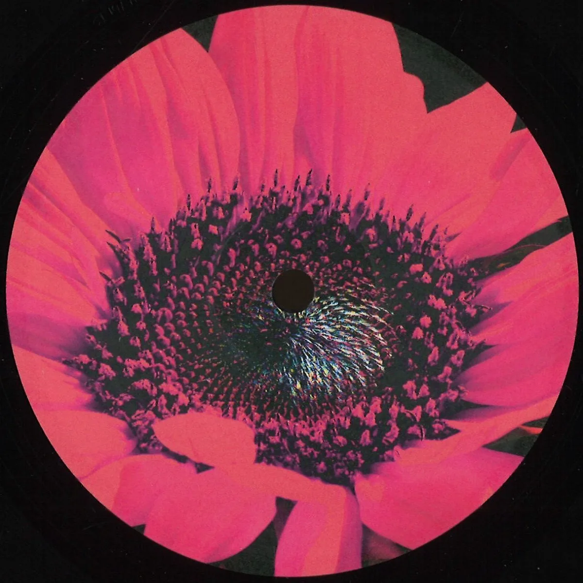Laroye&Lee Wilson — Beautiful