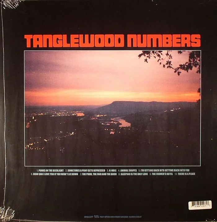 Back cover — SILVER JEWS — Tanglewood Numbers